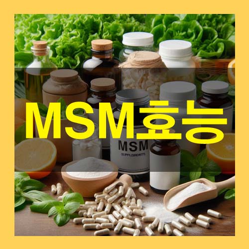  MSM 식이유황 효능과 부작용