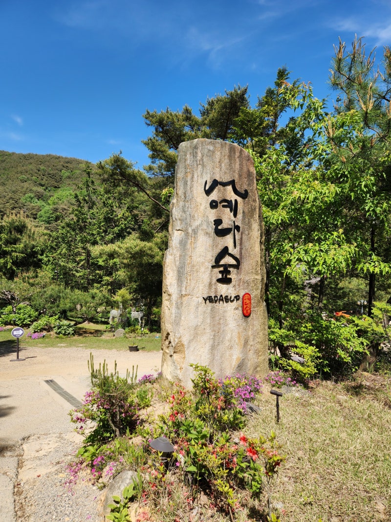사진 2