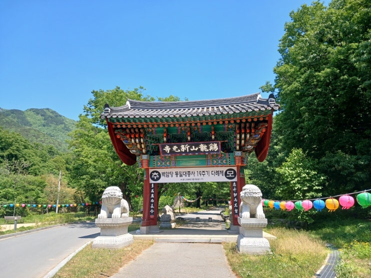  충남 공주 가볼 만한 곳 '신원사' 나만의 아지트 사찰