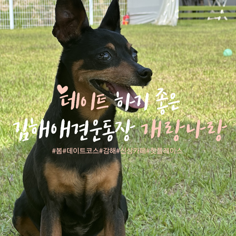 사진 6