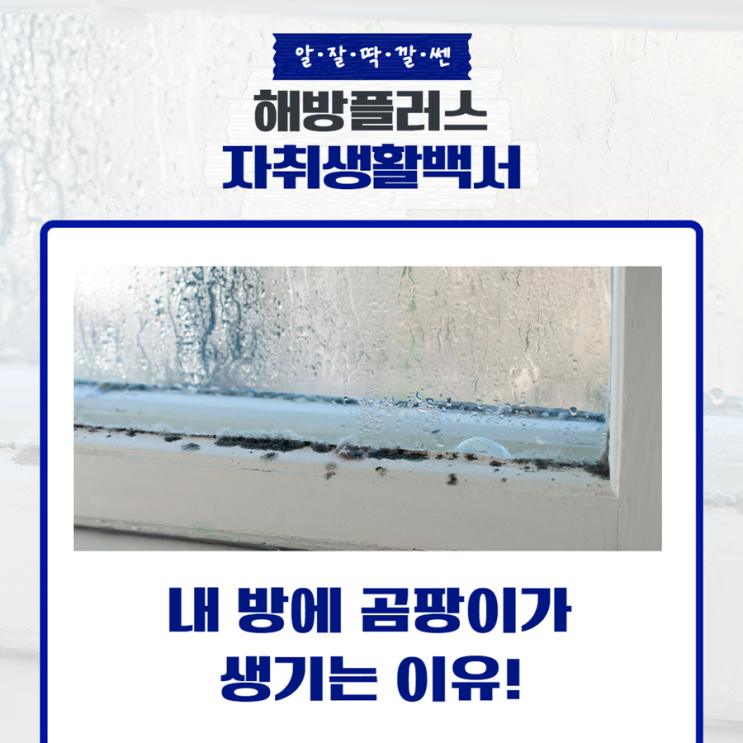  내 방에 곰팡이가 생기는 이유는 뭘까?