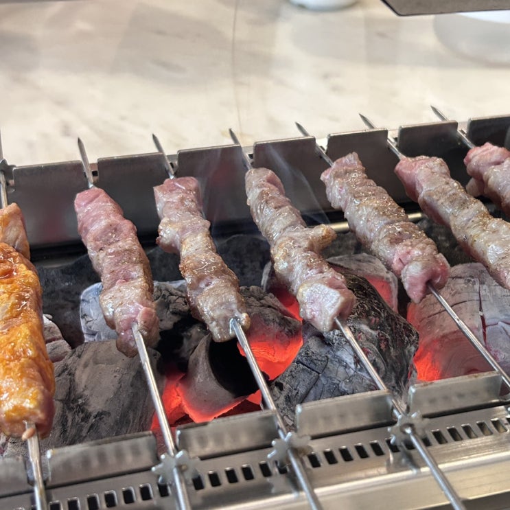  [대전 괴정동] 육향 가득한 양꼬치 미니양꼬치 쇼촬땐