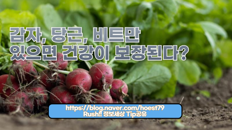  감자, 당근, 비트 세 가지 뿌리채소만으로 건강을 챙기는 방법을 알아보세요. 각 채소의 특별한 효능부터 맛있게 먹는 요리법까지, 우리 가족의 건강을 위한 최적의 가이드!