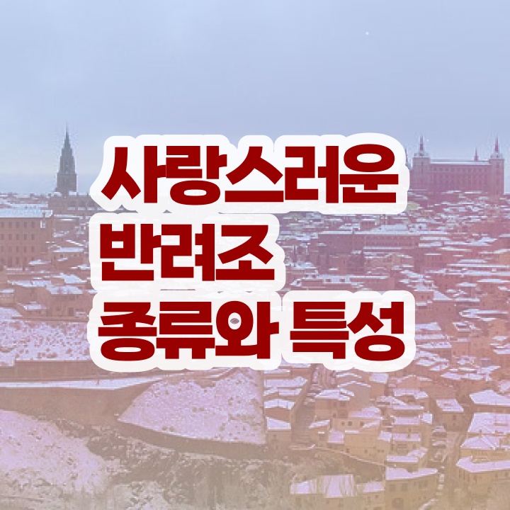  코뉴어 앵무새 분양 , 반려조관리사 자격증 취득했던 후기 콕콕 짚어드립니다