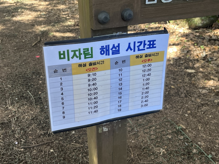  제주 가족끼리 가볼만한 곳 비자림숲 해설 시간표 입장료 주차 산책로 단체