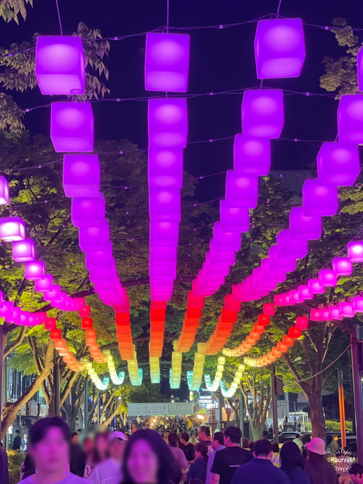  강릉 월화거리 야시장 주차와 먹거리 정보