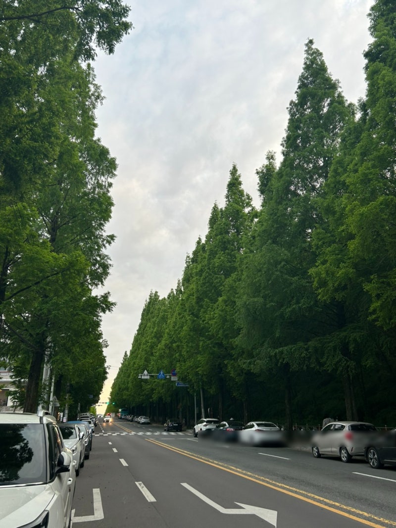 사진 8