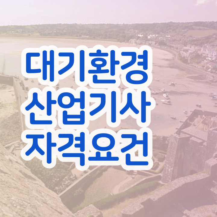  대기환경산업기사 독학 대기환경산업기사 시험응시조건 온라인으로 5달만에 성공한 팁