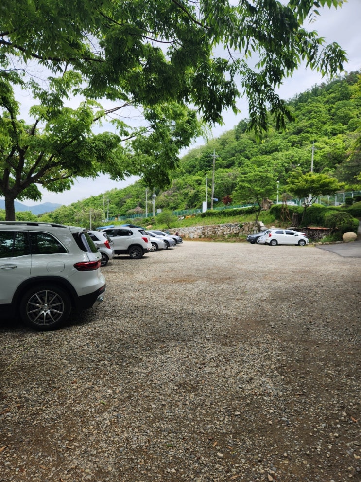  [밀양 카페] 애견동반 가능한 밀양 대형 브런치카페, 밀양9