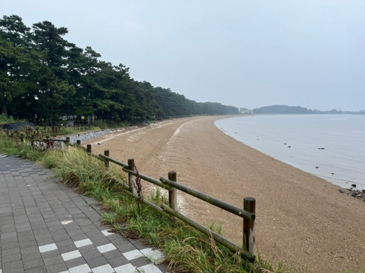  궁평항 근처에 위치한 해변! 궁평리 해수욕장 방문 이모저모
