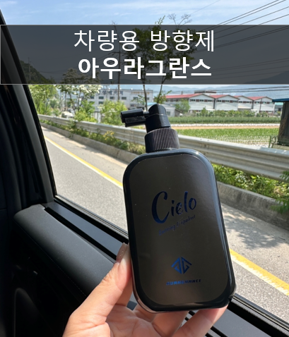  차량방향제 추천 30대 남자선물로 좋은 뿌리는 방향제 다키포스트 아우라그란스