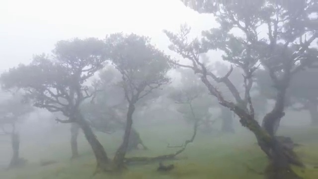  독서지도사취업 , 독서지도사 자격증 준비 과정 알아보기
