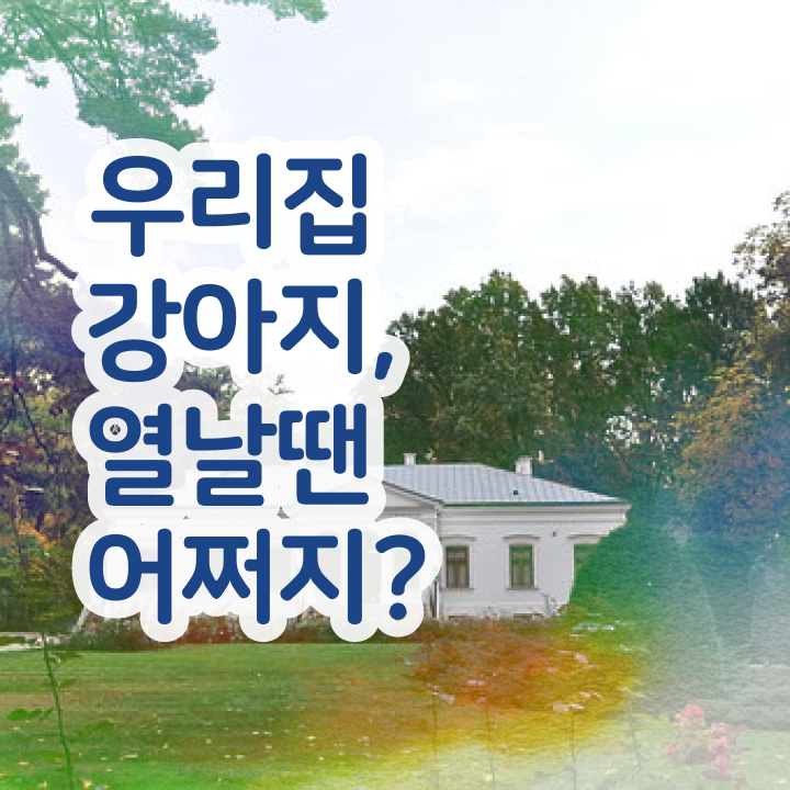  반려동물관련대학 , 반려동물관리사 자격증 쉽고 간편하게 취득한 과정 정보 가득