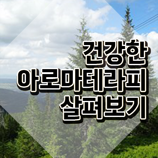  아로마뷰티diy지도사 워크샵 , 아로마뷰티DIY지도사 자격증 온라인 교육으로 취득한 노하우 , 구직정보