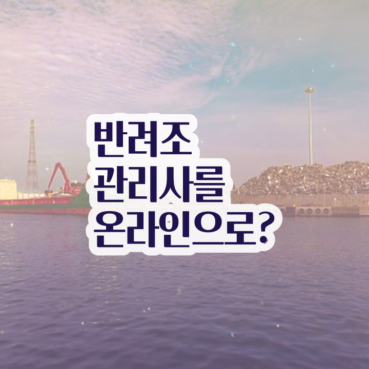  일산앵무새분양 , 반려조관리사 자격증 취득한 과정 궁금증 해결