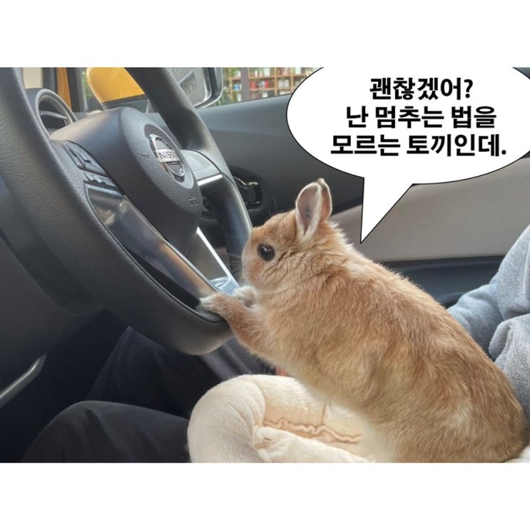 5월 7일 주간 일기