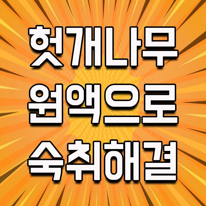  헛개나무 원액만 있으면 숙취해소 끝!