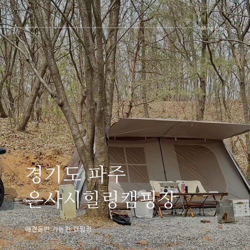 은사시캠핑장