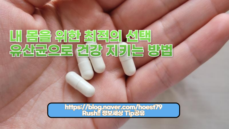  2024년 최고의 유산균 고르는 법! 유산균의 효능을 극대화하는 선택 가이드와 전문가 추천 정보를 제공하여 보약이 필요 없게 만드는 건강 비결! 유산균으로 건강을 지키세요.