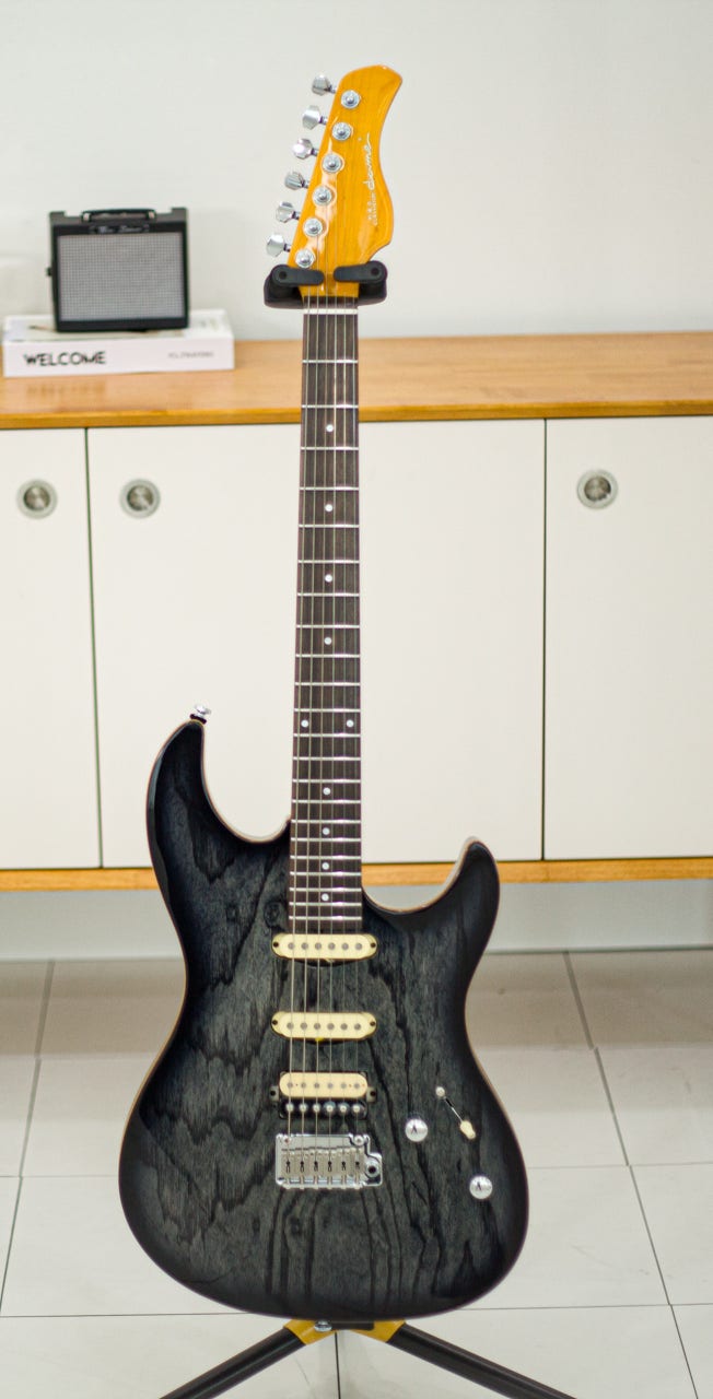 일렉기타 베이스기타 차이 - 데임 S300 or VS5 : 네이버 블로그