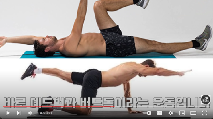  코어운동 1 [데드벅, 버드독]