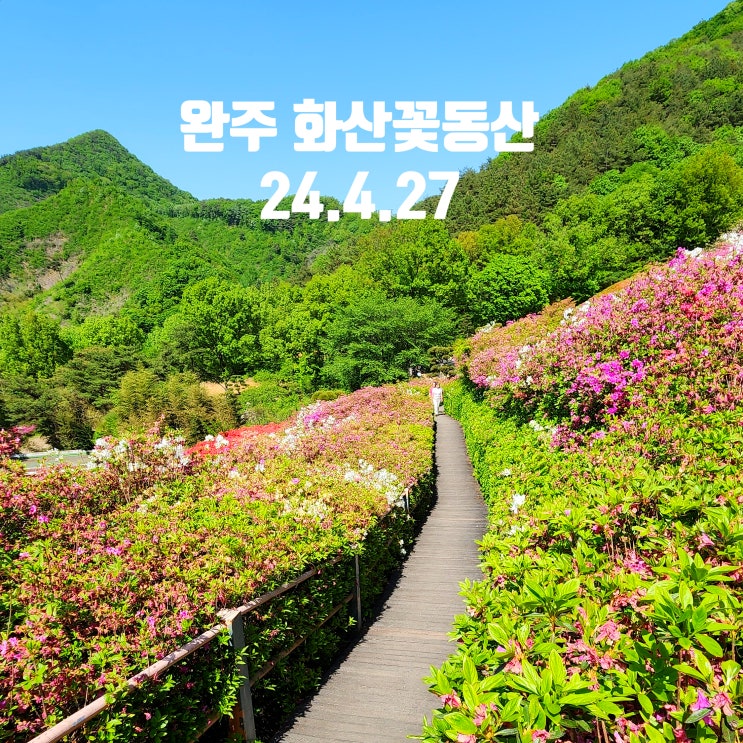  〔전북완주〕완주 화산꽃동산-화산꽃동산 안내도-방문 최적기(중요함)-철쭉군락이 양지여서 빨리 시듦-은방울꽃