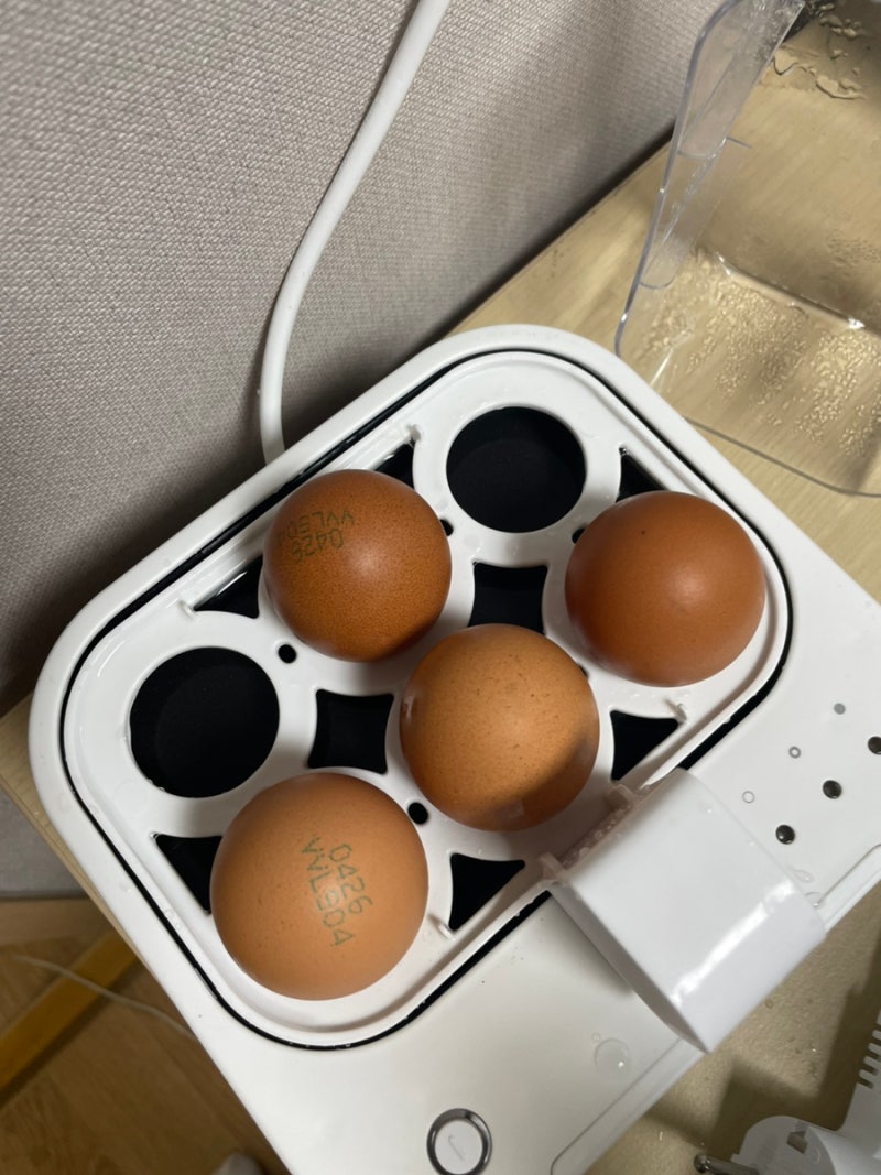 제니퍼룸 에그보일러 계란찜기 사용법, 실사용 후기(꿀팁 포함)