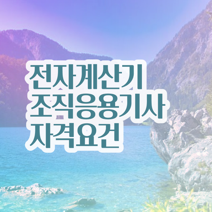  전자계산기조직응용기사 응시조건 학점은행제로 반 년만에 완료한 방법