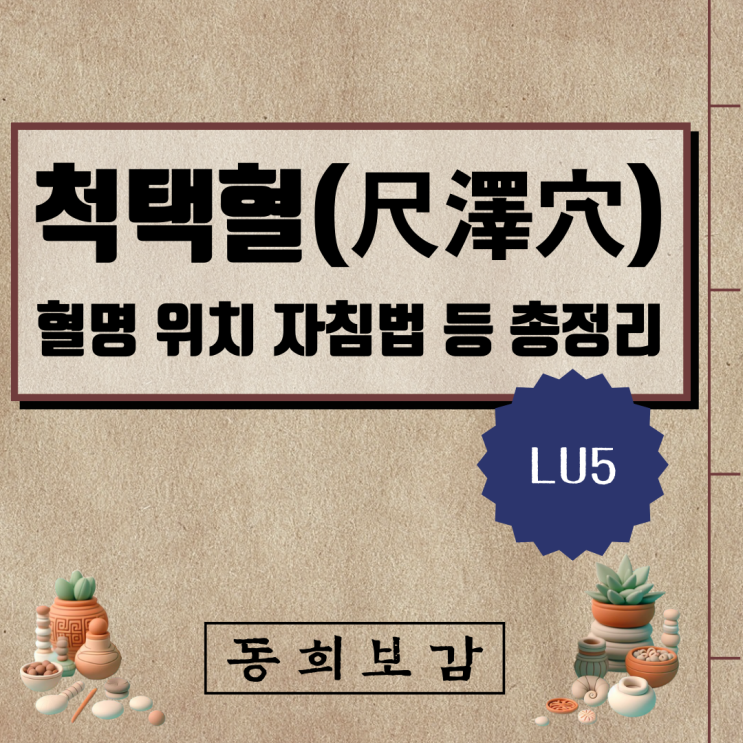  척택혈(尺澤穴) LU5, 소속경맥 혈명 위치 특성 자침법 등 총정리