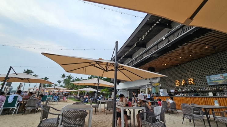  싱가포르 #03. 센토사섬에서 유니버셜 스튜디오 안 가고 놀아보기 / 올라 비치클럽 (Ola beach club), 액티비티, 패들 보드