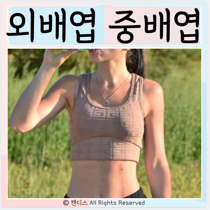  배엽론 외배엽 운동 중배엽