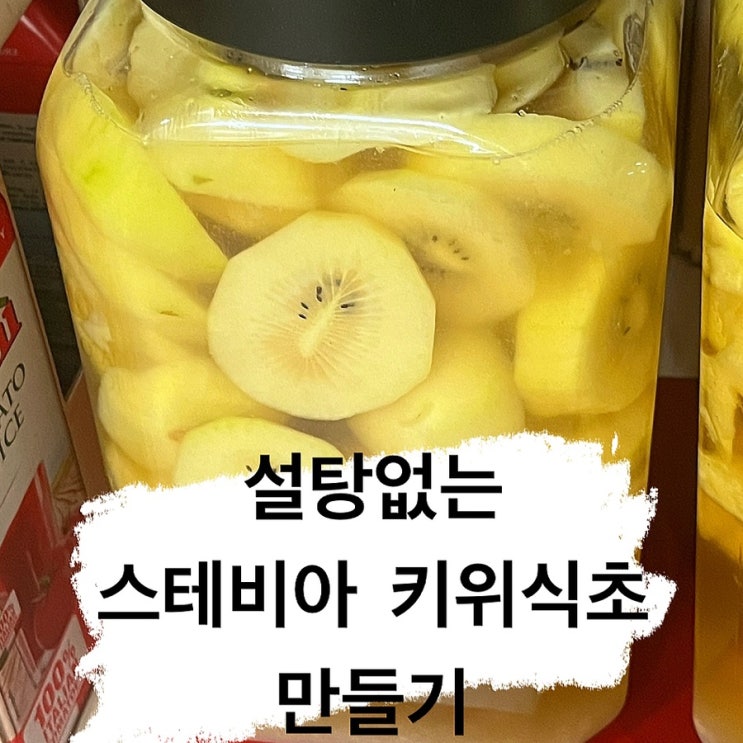  설탕없는 키위식초 만들기 스테비아 다이어트 식초 만드는법