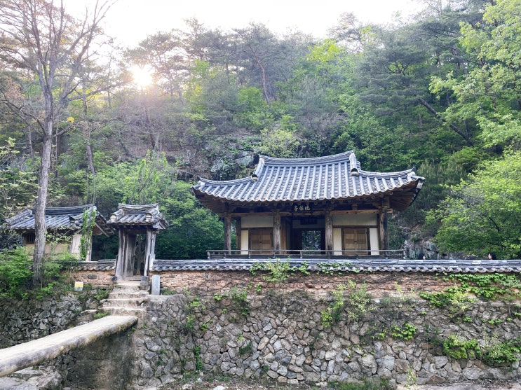  안동 만휴정 미스터션샤인 촬영지 포토존 입장료