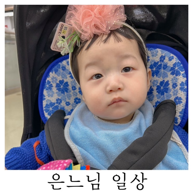  [은느님 일상]꽃보다 아름다운 너 구찌헌