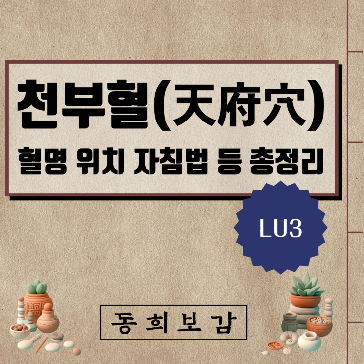  천부혈(天府穴) LU3, 소속경맥 혈명 위치 특성 자침법 등 총정리