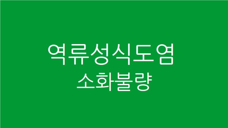  역류성식도염 소화불량 가스차고 목도 갑갑하다면