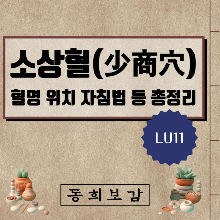  소상혈(少商穴) LU11, 소속경맥 혈명 위치 특성 자침법 등 총정리