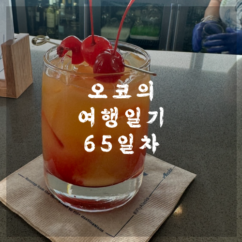  오코의 100일 여행일기 DAY 65 알래스카항공 결항