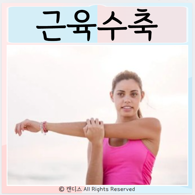  근육 수축 종류 단축성 등장성수축 신장성