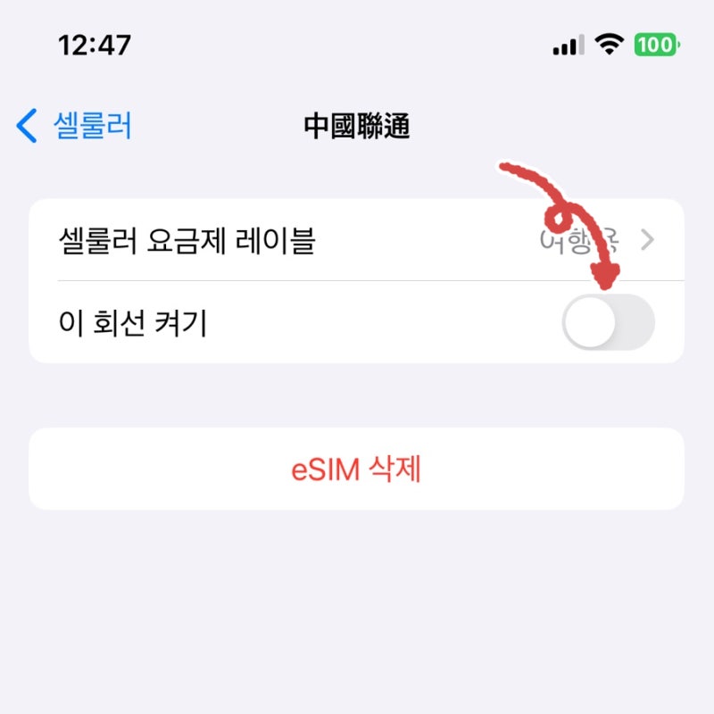 필리핀 이심 구매 가격 사용방법 10%할인까지