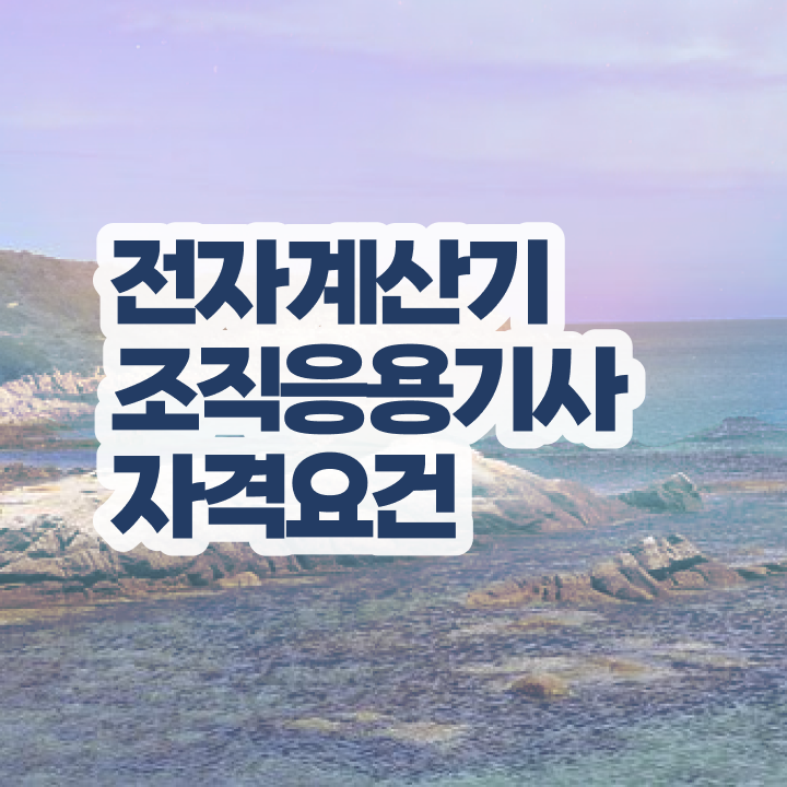  전자계산기조직응용기사 취업 전자계산기조직응용기사 응시조건 독학으로 간단하게 완료한 팁