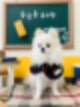 아이의 김포 깜장콩 유치원 일상