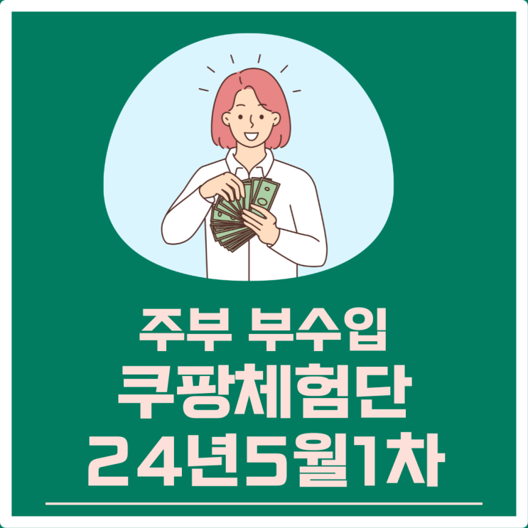  18번째 쿠팡 체험단 제품, 고가 물품 리스트, 선택 제품