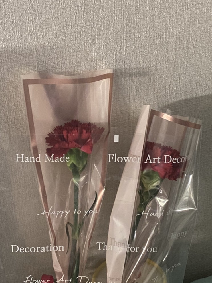  [대학생 일상로그]3️: 제 4월은요?