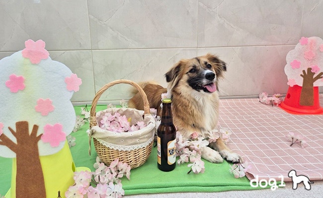 사진 7