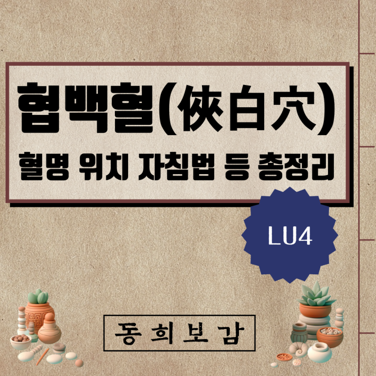  협백혈(俠白穴) LU4, 소속경맥 혈명 위치 특성 자침법 등 총정리