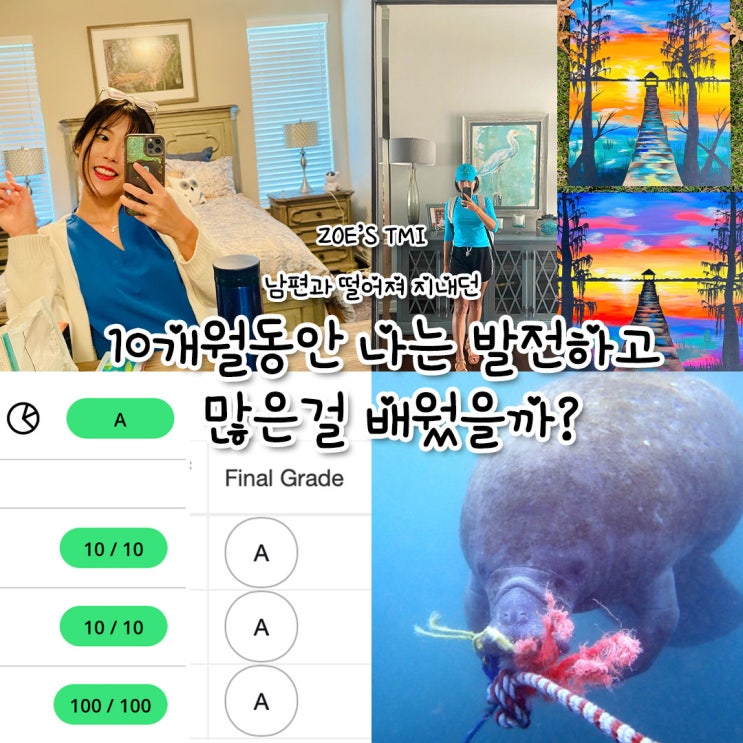 [ZOE's TMI] <b>남편</b>과 떨어져 지내던 <b>10개월</b>동안 나는 발전하고... 