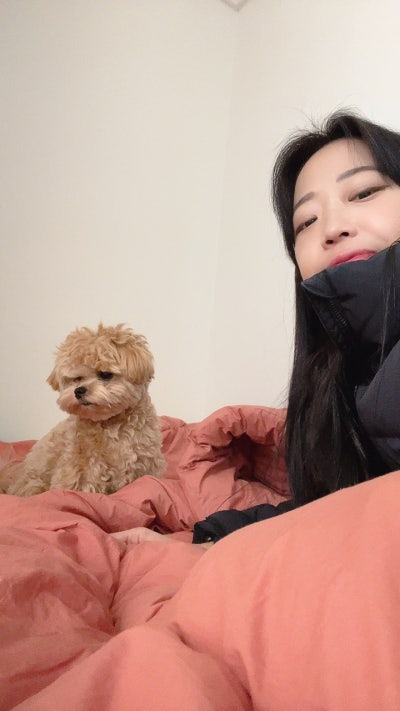 사진 3