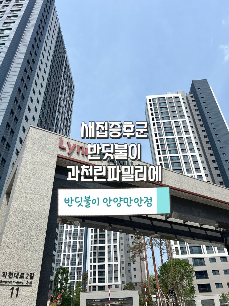  과천 새집증후군 린파밀리에 반딧불이가 제거하는 방법(반딧불이 안양만안점)