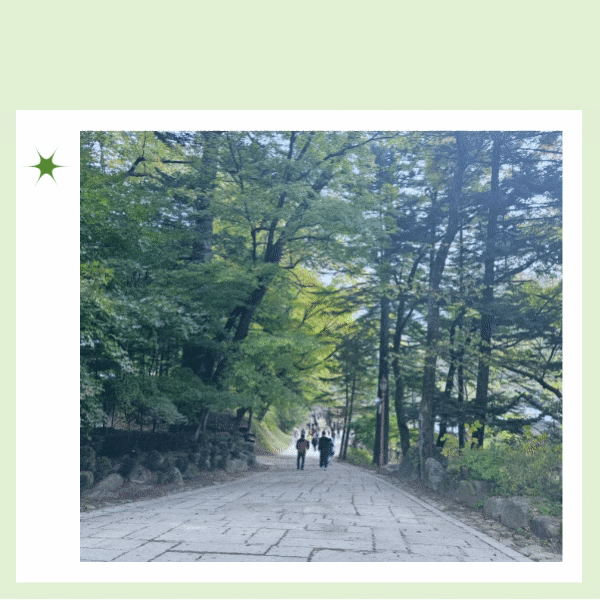  국내여행 봄여행지 평창 태교여행 가기 좋은 곳 월정사 전나무 숲길 주차 요금